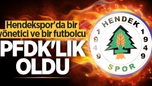 Hendekspor Kulüp Yöneticisi Metin Genç  Futbolcu Berkay Ekici PFDK'lık Oldu