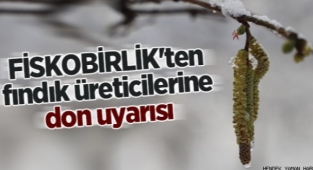 Fındık Üreticilerine Fiskobirlik'ten don uyarısı