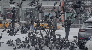 Hendek beyaz gelinlik giydi Kartpostallık Manzaralar Ortaya Çıktı 