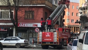 Hendek’te İtfaiyeden Minik  Kedi Kurtarma Operasyonu 