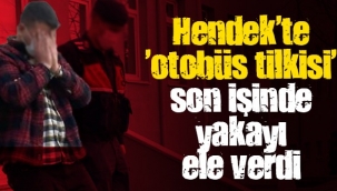 Hendek'te Otobus Tilkisi Son İşinde Yakayı Ele Verdi 