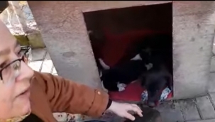 Sosyal medyada o algıya tokat gibi cevap!