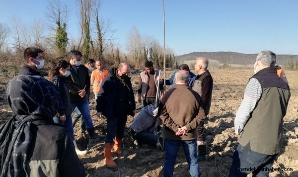 Hendek'te  Endüstriyel Ağaçlandırma Sahalarında İşbaşı Eğitimi Yapıldı