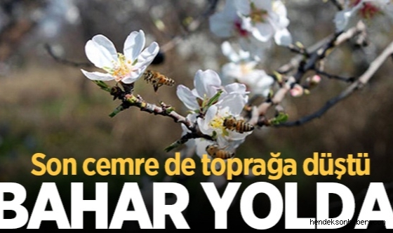 Bahar Mevsiminin Habercisi Son cemre toprağa düştü