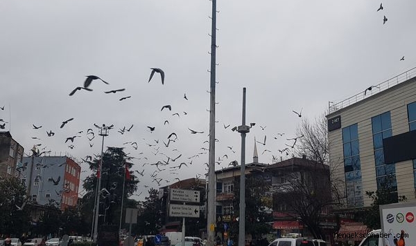 Dikkat kuvvetli rüzgar ve fırtına uyarısı