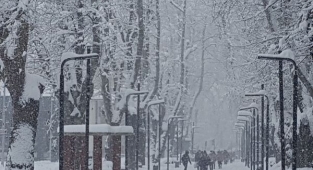 Eyvah Eyvah Kar Geri Geliyor