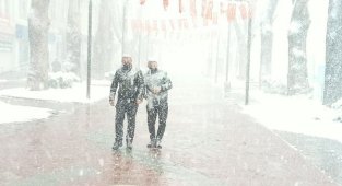 Fotoğraflar Bugün Çekildi Mart Ayında Lapa Lapa Yağan Kar Şaşırttı