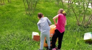 Hendek Fındık Bahçelerinde Tatlı Telaş Başladı 