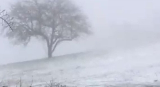 Nisan Ayında Yağan Kar Şaşkınlık Yarattı 