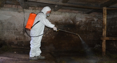 HENDEK BELEDİYESİ LARVA MÜCADELESİNE BAŞLADI 