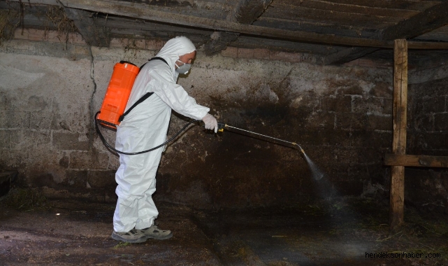 HENDEK BELEDİYESİ LARVA MÜCADELESİNE BAŞLADI 