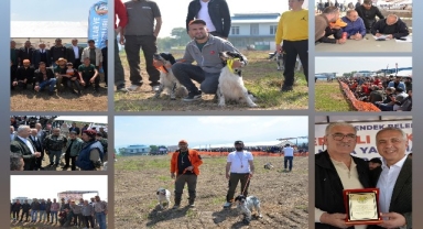 HENDEK ÇAKALLIK MEVKİNDE EN İYİ AV KÖPEKLERİ YARIŞTI