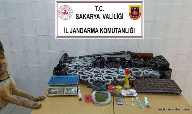Hendek'te Jandarmadan uyuşturucu operasyonu: 1 gözaltı