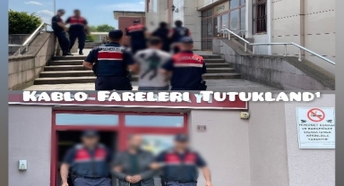 Kablo Fareleri Tutuklandı