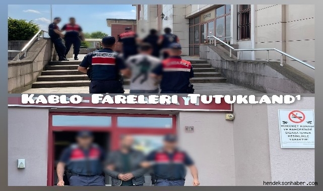 Kablo Fareleri Tutuklandı