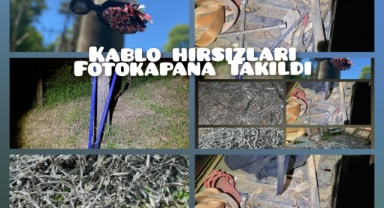 Kablo Hırsızları Fotokapana Takıldı