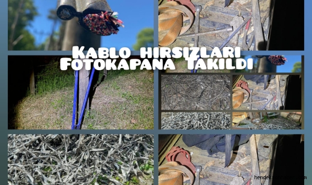 Kablo Hırsızları Fotokapana Takıldı