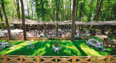 Sakarya Büyükşehir’le huzur dolu bayram: 25 bin kişi ücretsiz yolculuk yaptı