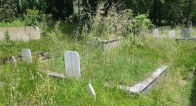 HENDEK BELEDİYESİ AİLE MEZARLIĞINI KİM TEMİZLEYECEK?