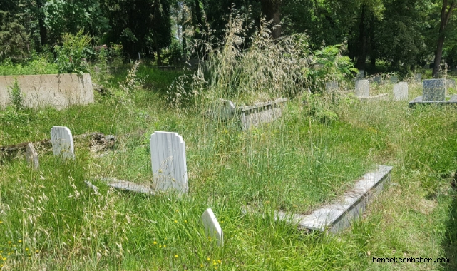 HENDEK BELEDİYESİ AİLE MEZARLIĞINI KİM TEMİZLEYECEK?