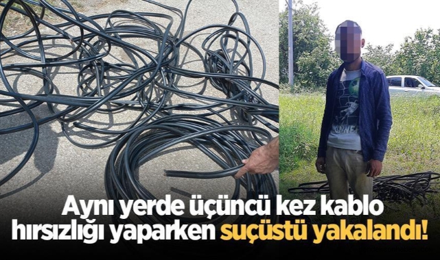 Hendek Jandarma aynı yerde üçüncü kez kablo hırsızlığı yapan şahsı suçüstü yakaladı 