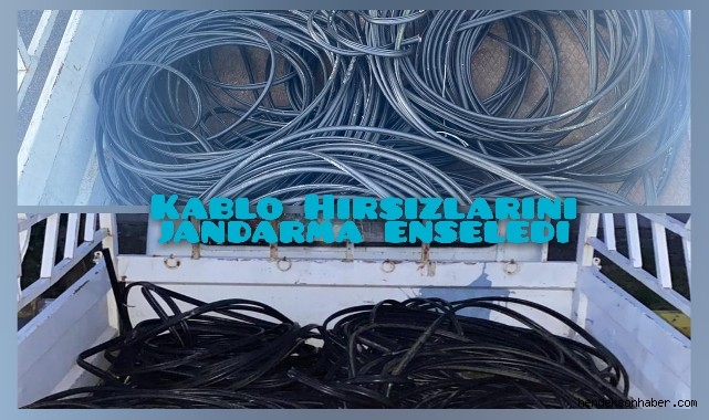 Kablo Hırsızlarını Jandarma Enseledi