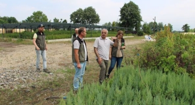Polat Hendek Orman Fidanlığında Üretim Çalışmalarını Denetledi