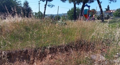 Üvey Evlat Yeşilköy