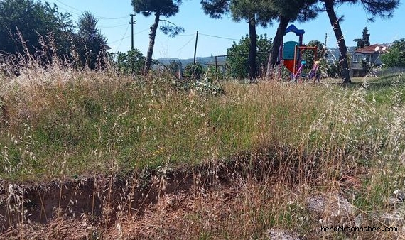 Üvey Evlat Yeşilköy