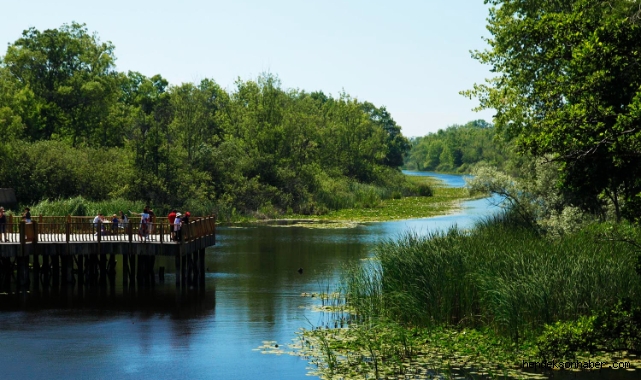 Başkan Yüce'den açılışa davet