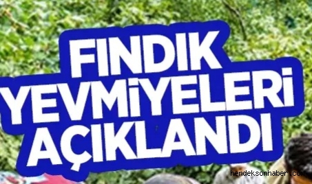 Fındık Hasadına Sayılı Günler Kala yevmiyeler belli oldu