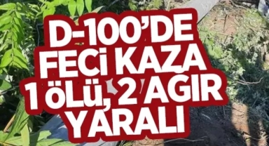 HENDEK D 100'DE FECİ KAZA 1 ÖLÜ 2 AĞIR YARALI