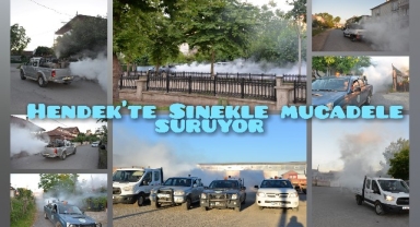 Hendek’te Sinekle Mücadele Mahalle Mahalle Sürüyor 