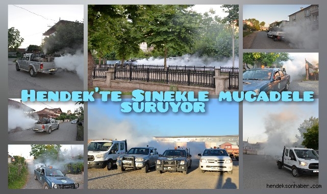 Hendek’te Sinekle Mücadele Mahalle Mahalle Sürüyor 