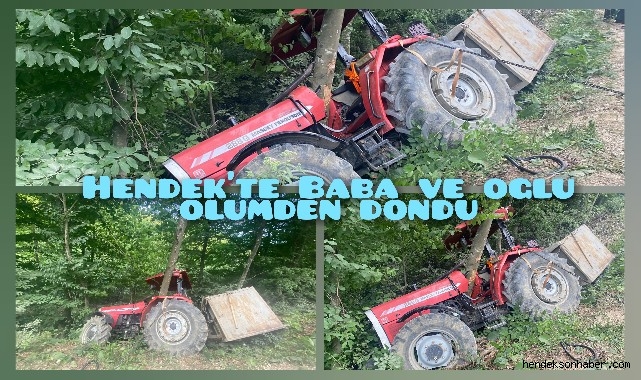Hendek'te Uçuruma Yuvarlanmaktan Ağaç Kurtardı