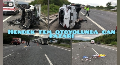 Hendek TEM Otoyolunda Can Pazarı