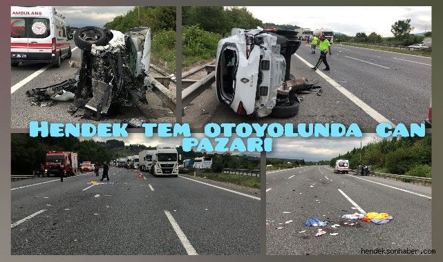 Hendek TEM Otoyolunda Can Pazarı