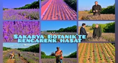 Sakarya Botanik’te rengârenk hasat: