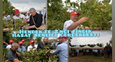 HENDEK’TE 2’NCİ FINDIK HASAT ŞENLİĞİ GERÇEKLEŞTİ