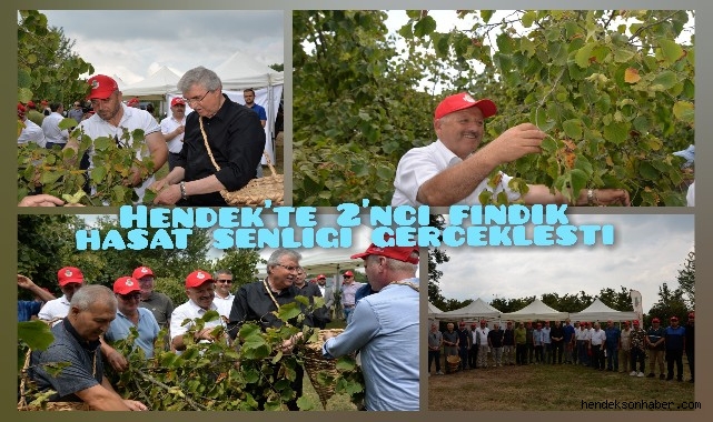 HENDEK’TE 2’NCİ FINDIK HASAT ŞENLİĞİ GERÇEKLEŞTİ
