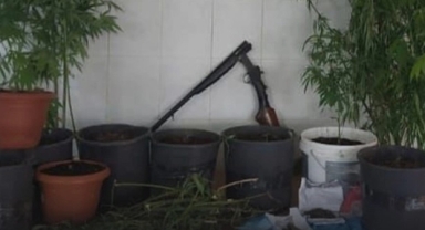 Hendek'te Jandarmadan zehir tacirine operasyon