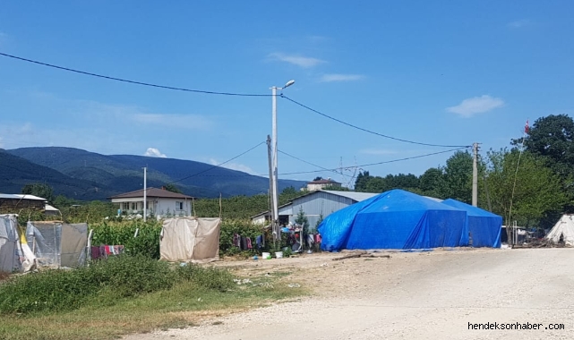 Hendek'te Mevsimlik Fındık İşçilerinin Zorlu Yaşam Mücadelesi