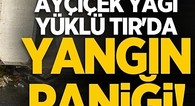 Hendek'te Sıvı Yağ Yüklü Tır'da Yangın Panik Yarattı