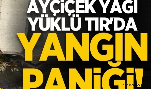 Hendek'te Sıvı Yağ Yüklü Tır'da Yangın Panik Yarattı