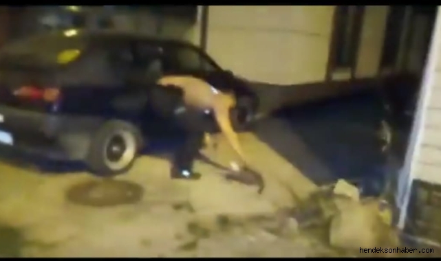 Minik Kedinin İmdadına  Bekçi Yetişti