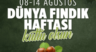 Sakarya’da Dünya Fındık Haftası için büyük organizasyon