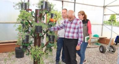 Sakarya Orman Bölge Müdürü Ziya Polat,Hendek Fidanlık Şefliğini ziyaret etti.