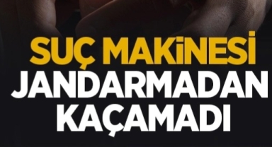 Hendek Jandarmadan Suç Makinesine Operasyon