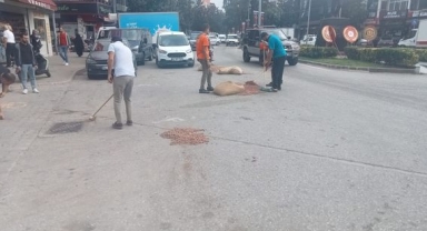 Hendek Meydanda fındıklar Yerlere Saçıldı