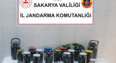 Hendek'te Karı-Koca 11 Kilo  Uyuşturucuyla Yakalandı